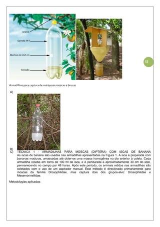 52
Armadilhas para captura de mariposas moscas e brocas
A)
B)
C) TÉCNICA 1 - ARMADILHAS PARA MOSCAS (DIPTERA) COM ISCAS DE BANANA
As iscas de banana são usadas nas armadilhas apresentadas na Figura 1. A isca é preparada com
bananas maduras, amassadas até obter-se uma massa homogênea no dia anterior à coleta. Cada
armadilha recebe em torno de 100 ml de isca, e é pendurada a aproximadamente 30 cm do solo,
permanecendo no campo por 48 horas. Após este período, os animais retidos nas armadilhas são
coletados com o uso de um aspirador manual. Este método é direcionado primariamente para
moscas da família Drosophilidae, mas captura dois dos grupos-alvo: Drosophilidae e
Mesembrinellidae.
Metodologias aplicadas:
 