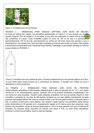 53
Figura 1- Armadilha para isca de banana.
TÉCNICA 2 - ARMADILHAS PARA MOSCAS (DIPTERA) COM ISCAS DE MELADO
As iscas de melado são usadas nas armadilhas apresentadas na Figura 2. A isca consiste em solução
aquosa contendo 10% de melado e 1% de bórax. A isca deve ser preparada no mesmo dia da colocação
das armadilhas no campo. Cada armadilha recebe em torno de 150 ml de isca e é pendurada a
aproximadamente 150 cm do solo, permanecendo no campo por 48 horas. Após este período, a isca é
derramada em uma peneira fina, para que sejam coletados os animais que caíram no líquido. Este método
é direcionado primariamente para mosca-das-frutas (família Tephritidae), mas também abrange os mesmos
grupos citados na TÉCNICA 1.
Figura 2- Armadilha para isca melado de cana. Consiste simplesmente em uma garrafa plástica de 2 litros,
na qual foram feitos quatro buracos de 2 centímetros de diâmetro. A solução com melado de cana é
depositada no fundo da garrafa.
C) TÉCNICA 3 - ARMADILHAS PARA MOSCAS COM ISCAS DE PROTEÍNA
Serão utilizadas armadilhas confeccionadas artesanalmente a partir de garrafas pet de 1,5 L, com quatro
orifícios de 2 cm, diametralmente opostos, contendo 300 ml de proteína hidrolisada e estabilizada a 5%
com bórax em cada armadilha. Também serão utilizadas armadilhas com isca de pulmão (Figura 3). Esta
armadilha é composta de uma lata de 500 gramas recoberta por um saco plástico transparente. As latas
possuem perfurações laterais por onde as moscas entram e um funil de papel invertido é colocado sobre a
lata, no acesso da lata para o saco plástico, que recobre a parte superior. As armadilhas dessa técnica
serão distribuídas em 30 parcelas com o espaçamento regular de 40 metros entre elas recebendo, cada
parcela, três armadilhas, sendo as mesmas penduradas a 1,80 m do solo, gerando com isso um total de 90
amostras. As amostras serão colocadas em frascos com álcool a 70%, os quais serão etiquetados,
contendo o número da armadilha, local e a data de inspeção.
 