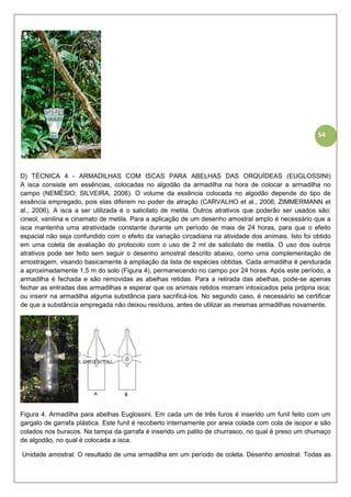 54
D) TÉCNICA 4 - ARMADILHAS COM ISCAS PARA ABELHAS DAS ORQUÍDEAS (EUGLOSSINI)
A isca consiste em essências, colocadas no algodão da armadilha na hora de colocar a armadilha no
campo (NEMÉSIO; SILVEIRA, 2006). O volume da essência colocada no algodão depende do tipo de
essência empregado, pois elas diferem no poder de atração (CARVALHO et al., 2006; ZIMMERMANN et
al., 2006). A isca a ser utilizada é o salicilato de metila. Outros atrativos que poderão ser usados são:
cineol, vanilina e cinamato de metila. Para a aplicação de um desenho amostral amplo é necessário que a
isca mantenha uma atratividade constante durante um período de mais de 24 horas, para que o efeito
espacial não seja confundido com o efeito da variação circadiana na atividade dos animais. Isto foi obtido
em uma coleta de avaliação do protocolo com o uso de 2 ml de salicilato de metila. O uso dos outros
atrativos pode ser feito sem seguir o desenho amostral descrito abaixo, como uma complementação de
amostragem, visando basicamente à ampliação da lista de espécies obtidas. Cada armadilha é pendurada
a aproximadamente 1,5 m do solo (Figura 4), permanecendo no campo por 24 horas. Após este período, a
armadilha é fechada e são removidas as abelhas retidas. Para a retirada das abelhas, pode-se apenas
fechar as entradas das armadilhas e esperar que os animais retidos morram intoxicados pela própria isca;
ou inserir na armadilha alguma substância para sacrificá-los. No segundo caso, é necessário se certificar
de que a substância empregada não deixou resíduos, antes de utilizar as mesmas armadilhas novamente.
Figura 4. Armadilha para abelhas Euglossini. Em cada um de três furos é inserido um funil feito com um
gargalo de garrafa plástica. Este funil é recoberto internamente por areia colada com cola de isopor e são
colados nos buracos. Na tampa da garrafa é inserido um palito de churrasco, no qual é preso um chumaço
de algodão, no qual é colocada a isca.
Unidade amostral: O resultado de uma armadilha em um período de coleta. Desenho amostral: Todas as
 