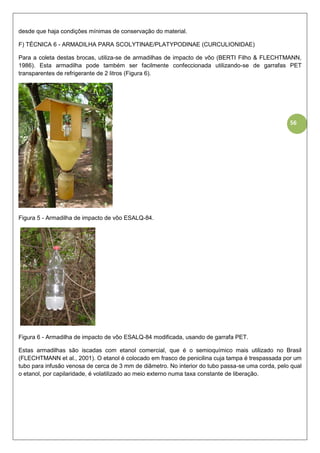 56
desde que haja condições mínimas de conservação do material.
F) TÉCNICA 6 - ARMADILHA PARA SCOLYTINAE/PLATYPODINAE (CURCULIONIDAE)
Para a coleta destas brocas, utiliza-se de armadilhas de impacto de vôo (BERTI Filho & FLECHTMANN,
1986). Esta armadilha pode também ser facilmente confeccionada utilizando-se de garrafas PET
transparentes de refrigerante de 2 litros (Figura 6).
Figura 5 - Armadilha de impacto de vôo ESALQ-84.
Figura 6 - Armadilha de impacto de vôo ESALQ-84 modificada, usando de garrafa PET.
Estas armadilhas são iscadas com etanol comercial, que é o semioquímico mais utilizado no Brasil
(FLECHTMANN et al., 2001). O etanol é colocado em frasco de penicilina cuja tampa é trespassada por um
tubo para infusão venosa de cerca de 3 mm de diâmetro. No interior do tubo passa-se uma corda, pelo qual
o etanol, por capilaridade, é volatilizado ao meio externo numa taxa constante de liberação.
 