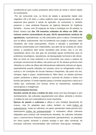 7
constituindo-se para muitos produtores ótima fonte de renda e retorno rápido
do investimento.
Por ser consumida crua, na forma de salada e apresentar rápido ciclo
vegetativo (30 a 45 dias), o cultivo orgânico (sem agroquímicos) de alface é
essencial para garantir a saúde do agricultor, do consumidor e, também
preservar o meio ambiente. Pesquisa da Agência Nacional de Vigilância
Sanitária – Anvisa, com 20 espécies de frutas e hortaliças em 26 estados no
Brasil, revelou que, das 138 amostras coletadas de alface em 2009, nos
maiores centros consumidores do país, 38,4% apresentaram resíduos de
agrotóxicos, especialmente, os não autorizados para a cultura. Considerando
que na alface, praticamente, não há problemas com pragas e doenças, estes
resultados são muito preocupantes. Chama a atenção a quantidade de
amostras contaminadas com metamidofós, que além de ser proibida em vários
países, a substância está sendo reavaliada pela Anvisa, pois é um dos
ingredientes ativos com alto grau de toxicidade aguda contribuindo para os
problemas neurológicos, reprodutivos, de desregulação hormonal e até câncer.
Mas os riscos ao meio ambiente e ao consumidor que causa o sistema de
produção convencional de alface, não param por aí! Os adubos químicos mais
utilizados no cultivo de alface são hidrossolúveis (altamente solúveis em água),
especialmente quando utilizados em excesso como os nitrogenados (uréia e
outros) e, em condições de chuvas intensas e freqüentes, vão parar nos rios,
córregos, lagos e poços, contaminando-os. Além disso, os adubos químicos
podem contaminar a alface, provocando o acúmulo de nitratos e nitritos nos
tecidos das plantas. O nitrato ingerido passa a corrente sanguínea e reduz-se a
nitritos que, combinado com aminas, forma as nitrosaminas, substâncias
cancerígenas e mutagênicas.
Recomendações técnicas
Escolha correta da área e análise do solo: áreas com boa drenagem e sem
sombreamento, não cultivadas seguidamente com alface, almeirão e chicória.
A análise do solo com antecedência é muito importante.
Épocas de plantio e cultivares: a alface é uma hortaliça tipicamente de
inverno, mas foi adaptada para cultivo também no verão. Cultivo de
outono/inverno - todas as cultivares, em geral, apresentam neste período bom
desempenho. Cultivo de primavera/verão - é necessário utilizar cultivares
adaptadas para produzir sob temperaturas elevadas. As cultivares indicadas
para o outono/inverno florescem precocemente (pendoamento), se plantadas
em clima quente, tornando o produto amargo e sem valor comercial. As
principais cultivares recomendadas são: Cultivares lisas (grupo manteiga) -
 
