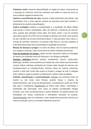 9
Cobertura morta: havendo disponibilidade na região de cultivo, recomenda-se
o emprego de cobertura morta dos canteiros com palha ou casca de arroz ou
outro material vegetal de textura fina.
Capinas e escarificarão do solo: durante o desenvolvimento das plantas, são
necessárias uma a duas capinas, quando se aproveita para fazer também o
afofamento do canteiro (sacarificação).
Cultivo protegido: melhora a produtividade e a qualidade da alface (folhas
mais tenras e menos danificadas), além de melhorar a eficiência da mão-de-
obra, quando são utilizados túneis altos. Em pleno verão o uso de sombrite
(que deixa passar 30 a 50% de luz) protege as plantas nas horas mais quentes
do dia e também de chuvas torrenciais (Figura 1). Nos períodos mais críticos, o
manejo do sombrite, retirando-o no período mais fresco e, em dias nublados, é
importante para atingir boa produtividade e qualidade do produto.
Manejo de doenças e pragas: no cultivo de alface, não há maiores problemas
com pragas e doenças. Caso ocorra deve-se utilizar medidas preventivas.
Fase de produção de mudas - utilizar sempre sementes sadias em bandejas
de isopor com substrato isento de doenças e, em abrigos protegidos.
Canteiro definitivo: eliminar plantas hospedeiras (caruru, picão-preto,
beldroega, serralha, maria-pretinha) de insetos tais como tripes que transmitem
viroses; utilizar cultivares resistentes às viroses; fazer rotação de culturas com
hortaliças-raízes ou hortaliças-frutos; eliminar restos de culturas anteriores;
revolver o solo bem fundo para expor os fungos e pragas do solo à radiação
solar; adubar e irrigar as plantas corretamente e utilizar cultivo protegido.
Colheita, classificação e comercialização: Colheita: nas primeiras horas da
manhã ou nas horas mais frescas, quando atingir o máximo de
desenvolvimento, sem sinais de florescimento, normalmente a partir dos 30-45
dias após o transplante. Classificação: as folhas mais velhas, manchadas e
danificadas são eliminadas, bem como as plantas consideradas refugos
(miúdas, com início de florescimento e outros defeitos). As plantas devem ser
embaladas em caixas, evitando-se o demasiado manuseio do produto.
Comercialização: deve ser realizada o mais rapidamente possível e próximo ao
local de produção, pois é um produto altamente perecível.
 
