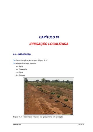 CAPÍTULO VI

                    IRRIGAÇÃO LOCALIZADA


6.1 – INTRODUÇÃO


  Forma de aplicação da água (Figura VI.1)
  Adaptabilidade do sistema
   a – Solos
   b – Topografia
   c – Clima
   d – Culturas




Figura VI.1 – Sistema de irrigação por gotejamento em operação.



IRRIGAÇÃO                                                         CAP. VI - 1
 