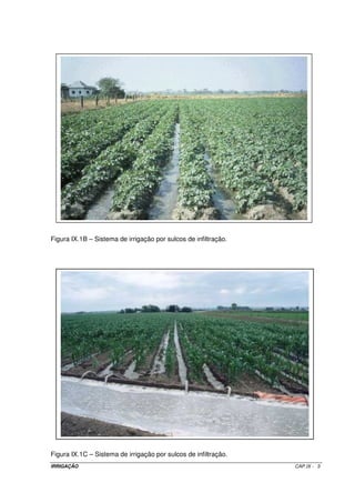 Figura IX.1B – Sistema de irrigação por sulcos de infiltração.




Figura IX.1C – Sistema de irrigação por sulcos de infiltração.
IRRIGAÇÃO                                                        CAP.IX - 3
 