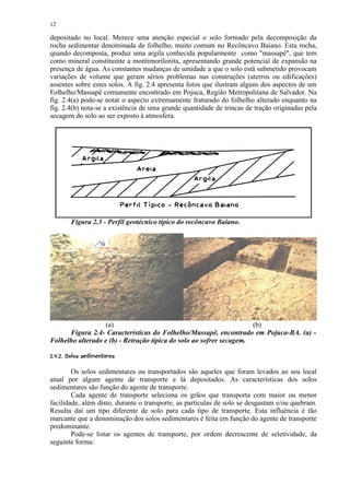 12

depositado no local. Merece uma atenção especial o solo formado pela decomposição da
rocha sedimentar denominada de folhelho, muito comum no Recôncavo Baiano. Esta rocha,
quando decomposta, produz uma argila conhecida popularmente como massapê, que tem
como mineral constituinte a montimorilonita, apresentando grande potencial de expansão na
presença de água. As constantes mudanças de umidade a que o solo está submetido provocam
variações de volume que geram sérios problemas nas construções (aterros ou edificações)
assentes sobre estes solos. A fig. 2.4 apresenta fotos que ilustram alguns dos aspectos de um
Folhelho/Massapê comumente encontrado em Pojuca, Região Metropolitana de Salvador. Na
fig. 2.4(a) pode-se notar o aspecto extremamente fraturado do folhelho alterado enquanto na
fig. 2.4(b) nota-se a existência de uma grande quantidade de trincas de tração originadas pela
secagem do solo ao ser exposto à atmosfera.




          Figura 2.3 - Perfil geotécnico típico do recôncavo Baiano.




                  (a)                                                (b)
      Figura 2.4- Características do Folhelho/Massapê, encontrado em Pojuca-BA. (a) -
Folhelho alterado e (b) - Retração típica do solo ao sofrer secagem.
'$%#!¢ §¤¤¨ ¤¨©¦§¥  ¤£ ¢ 
             ¡ ¡ ¡


        Os solos sedimentares ou transportados são aqueles que foram levados ao seu local
atual por algum agente de transporte e lá depositados. As características dos solos
sedimentares são função do agente de transporte.
        Cada agente de transporte seleciona os grãos que transporta com maior ou menor
facilidade, além disto, durante o transporte, as partículas de solo se desgastam e/ou quebram.
Resulta daí um tipo diferente de solo para cada tipo de transporte. Esta influência é tão
marcante que a denominação dos solos sedimentares é feita em função do agente de transporte
predominante.
        Pode-se listar os agentes de transporte, por ordem decrescente de seletividade, da
seguinte forma:
 