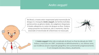 (BARRERA, 2016)
O Aedes aegypti tinha sido erradicado do Brasil no final da década de 1950.
Voltou a recircular em 1967, instalando-se definitivamente e, nos últimos anos,
sua incidência anual e expansão geográfica vem aumentando progressivamente.
É um mosquito de área urbana, atualmente.
No Brasil, o inseto vetor responsável pela transmissão de
dengue é o mosquito Aedes aegypti, da família Culicidae,
pertencentes ao gênero Aedes, do subgênero Stegomyia.
O Aedes albopictus é o vetor da dengue na Ásia. Embora
esteja presente nas Américas, até o momento, não foi
associado à transmissão de arboviroses no nosso país.
Aedes aegypti
 