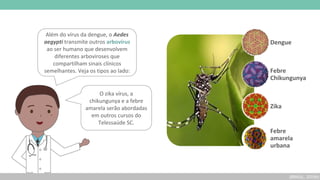 (BRASIL, 2019b)
Dengue
Febre
Chikungunya
Zika
Febre
amarela
urbana
Além do vírus da dengue, o Aedes
aegypti transmite outros arbovírus
ao ser humano que desenvolvem
diferentes arboviroses que
compartilham sinais clínicos
semelhantes. Veja os tipos ao lado:
O zika vírus, a
chikungunya e a febre
amarela serão abordadas
em outros cursos do
Telessaúde SC.
 