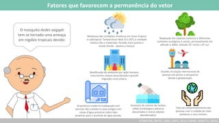 O mosquito Aedes aegypti
tem se tornado uma ameaça
em regiões tropicais devido:
(FORATINI, BRITO, 2003; LIMA, 2016; VIANA, IGNOTTI, 2003).
Fatores que favorecem a permanência do vetor
Mudanças das condições climáticas em áreas tropical
e subtropical. Temperatura ideal 22 a 30°C e umidade
relativa alta e moderada. Período mais quente e
úmido (Verão - janeiro a março).
Adaptação das espécies (vetores) a diferentes
contextos ecológicos e sociais, principalmente em
altitude 2.200m, latitude 35º
norte e 35º
sul.
Modificação do ambiente por ação humana,
crescimento urbano desordenado e grande
migração rural-urbana.
Grande circulação internacional de
pessoas em portos e aeroportos
devido à globalização.
Aumento do volume de resíduo
sólido (embalagens plásticas
descartadas e outros objetos
abandonados).
Arquitetura moderna inadequada com
piscinas não tratadas e casas antigas com
caixas d'água precárias sobre lajes
propícias para o acúmulo de água parada.
Falta de comprometimento das
pessoas com o cuidado do meio
ambiente e seus imóveis.
 