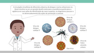 A circulação simultânea de diferentes arbovírus da dengue e outras arboviroses no
Brasil constitui-se em um grande desafio tanto para a assistência quanto para a
vigilância em suas ações de identificação de casos suspeitos, no diagnóstico precoce e
no desencadeamento das ações de prevenção e controle.
(BRASIL, 2019b)
Vírus da
dengue,
subtipo 1
Zika Vírus
Vírus da
Febre
amarela
urbana
Vírus da
dengue,
subtipo 2
Vírus da
dengue,
subtipo 3
Vírus da
dengue,
subtipo 4
 