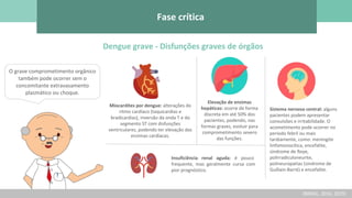 Dengue grave - Disfunções graves de órgãos
O grave comprometimento orgânico
também pode ocorrer sem o
concomitante extravasamento
plasmático ou choque.
Miocardites por dengue: alterações do
ritmo cardíaco (taquicardias e
bradicardias), inversão da onda T e do
segmento ST com disfunções
ventriculares, podendo ter elevação das
enzimas cardíacas.
Elevação de enzimas
hepáticas: ocorre de forma
discreta em até 50% dos
pacientes, podendo, nas
formas graves, evoluir para
comprometimento severo
das funções.
Sistema nervoso central: alguns
pacientes podem apresentar
convulsões e irritabilidade. O
acometimento pode ocorrer no
período febril ou mais
tardiamente, como: meningite
linfomonocítica, encefalite,
síndrome de Reye,
polirradiculoneurite,
polineuropatias (síndrome de
Guillain-Barré) e encefalite.
Insuficiência renal aguda: é pouco
frequente, mas geralmente cursa com
pior prognóstico.
(BRASIL, 2016; 2019)
Fase crítica
 