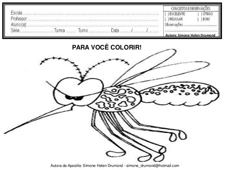 snap novo desenho do mosquito da dengue para colorir e imprimir