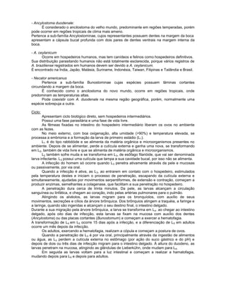 - Ancylostoma duodenale:
É considerado o ancilostoma do velho mundo, predominante em regiões temperadas, porém
pode ocorrer em regiões tropicais de clima mais ameno.
Pertence a sub-família Ancylostominae, cujos representantes possuem dentes na margem da boca
apresentam a cápsula bucal profunda com dois pares de dentes ventrais na margem interna da
boca.
- A. ceylanicum
Ocorre em hospedeiros humanos, mas tem canídeos e felinos como hospedeiros definitivos.
Sua distribuição parasitando humanos não está totalmente esclarecida, porque vários registros de
A. braziliense registrados em humanos devem ser devido a A. ceylanicum.
É encontrado na Índia, Japão, Malásia, Suriname, Indonésia, Taiwan, Filipinas e Tailândia e Brasil.
- Necator americanus
Pertence a sub-família Bunostominae cujas espécies possuem lâminas cortantes
circundando a margem da boca.
É conhecido como o ancilostoma do novo mundo, ocorre em regiões tropicais, onde
predominam as temperaturas altas.
Pode coexistir com A. duodenale na mesma região geográfica, porém, normalmente uma
espécie sobrepuja a outra.
Ciclo:
Apresentam ciclo biológico direto, sem hospedeiros intermediários.
Possui uma fase parasitária e uma fase de vida livre.
As fêmeas fixadas no intestino do hospedeiro intermediário liberam os ovos no ambiente
com as fezes.
No meio externo, com boa oxigenação, alta umidade (>90%) e temperatura elevada, se
processa a embrionia e a formação da larva de primeiro estádio (L1).
L1 é do tipo rabtidóide e se alimenta da matéria orgânica e microorganismos presentes no
ambiente. Depois de se alimentar, perde a cutícula externa e ganha uma nova, se transformando
em L2, também de vida livre e que se alimenta de matéria orgânica e microorganismos.
L2 também sofre muda e se transforma em L3, de esôfago filarióide, que vai ser denominada
larva infectante. L3 possui uma cutícula que tampa a sua cavidade bucal, por isso não se alimenta.
A infecção do homem só ocorre quando L3 penetra ativamente através da pele e mucosas
ou passivamente, por via oral.
Quando a infecção é ativa, as L3, ao entrarem em contato com o hospedeiro, estimulados
pela temperatura destes e iniciam o processo de penetração, escapando da cutícula externa e
simultaneamente, ajudadas por movimentos serpentiformes, de extensão e contração, começam a
produzir enzimas, semelhantes a colagenase, que facilitam a sua penetração no hospedeiro.
A penetração dura cerca de trinta minutos. Da pele, as larvas alcançam a circulação
sanguínea ou linfática, e chegam ao coração, indo pelas artérias pulmonares para o pulmão.
Atingindo os alvéolos, as larvas migram para os bronquíolos, com auxílio de seus
movimentos, secreções e cílios da árvore brônquica. Dos brônquios atingem a traquéia, a faringe e
a laringe, quando são ingeridas e alcançam o seu destino final, o intestino delgado.
Durante a sua migração pela árvore brônquica, a larva se transforma em L4. ao chegar ao intestino
delgado, após oito dias de infecção, esta larvas se fixam na mucosa com auxílio dos dentes
(Ancylostoma) ou das placas cortantes (Bunostomum) e começam a exercer a hematofagia.
A transformação de L4 em L5 ocorre 15 dias após a infecção, e a diferenciação de L5 em adultos
ocorre um mês depois da infecção.
Os adultos, exercendo a hematofagia, realizam a cópula e começam a postura de ovos.
Quando a penetração de L3 é por via oral, principalmente através da ingestão de alimentos
ou água, as L3 perdem a cutícula externa no estômago (por ação do suco gástrico e do pH) e
depois de dois ou três dias de infecção migram para o intestino delgado. Á altura do duodeno, as
larvas penetram na mucosa, atingindo as glândulas de Lieberkühn, onde mudam para L4.
Em seguida as larvas voltam para a luz intestinal e começam a realizar a hamatofagia,
mudando depois para L5 e depois para adultos.
 