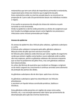 melanocítico que tem com célula de importância primordial o melanócito,
responsável pela síntese da melanina que é pigmento da pele.
Estes melanócitos estão no nível da camada basal e se encontram na
proporção de 1 para cada 10 queratinócitos basais nos indivíduos mulatos
e negros.

A luz auxilia no processo de ativação da síntese de melanina na pele
tornando-se mais bronzeada.
Ainda na epiderme e derme estão presentes as células de Langherans que
tem função imunológica porque atuam como fagócito nos processos e
infecciosos como micoses provocadas por fungos.


Anexos da epiderme

Os anexos da epiderme são o folículo pilos sebáceo, a glândula sudorípara
e a unha.
O folículo pilos sebáceo é composto pelo pêlo, glândula sebácea e
Músculo ereto do pêlo que tem estrutura muscular.
Os folículos pilos sebáceos estão diversos por várias regiões do organismo
sendo que existem regiões como barba e couro cabeludo onde os pêlos
são mais espessos, porém as glândulas sebáceas são menores enquanto
que na face há predomínio de pêlos finos, mas com glândulas sebáceas
bem desenvolvidas.
As unhas são lâminas de queratina que recobrem as falanges e originam
se da matriz ungueal seu crescimento é contínuo servindo como elemento
de proteção das pontas dos dedos.

As glândulas sudoríparas são de dois tipos: apócrinas e écrinas.

As glândulas sudoríparas apócrinas desembocam nos folículos
pilosebaceos
e secretam um liquido leitoso constituído protéicas, lipídicas e
Glicídicas.

Estas glândulas estão presentes em regiões do corpo como axilas,
Genitais, etc. e sua secreção apresenta odor típico que proveniente da
decomposição pela ação das enzimas bacterianas.
 