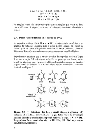 ε-
(aq) + ε-
(aq) + 2 H2O → 2 H2 + OH-
H • + H • → H2
• OH + • OH → H2O2
H • + • OH → H2O
As reações acima irão sempre competir com as reações que levam ao dano
das moléculas biológicas presentes no sistema, conforme abordado a
seguir.
2.3.2 Danos Radioinduzidos na Molécula de DNA
As espécies reativas ε-
(aq), H • e • OH, resultantes da transferência de
energia da radiação ionizante para a água, podem atacar, em maior ou
menor grau, as bases nitrogenadas contidas no DNA (Adenina, Guanina,
Citosina e Timina), alterando, consequentemente, seu papel biológico.
Experimentos mostram que o período de vida das espécies reativas ε-
(aq) e
H • em solução é drasticamente reduzido na presença das bases timina,
uracil ou citosina, uma vez que os elétrons hidratados atacam as ligações
duplas entre os carbono 5 e 6 dos anéis desses compostos, conforme
ilustrado na Figura 2.
Figura 2.2: (a) Estrutura das bases uracil, timina e citosina (b)
natureza dos radicais intermediários e produtos finais da irradiação
quando uracil é atacado pelas espécies reativas ε-
(aq), H • e • OH.
Os produtos finais mostrados são IIa, IIb, IIIa, IIIb. Outros produtos
são, também, formados.
32
 