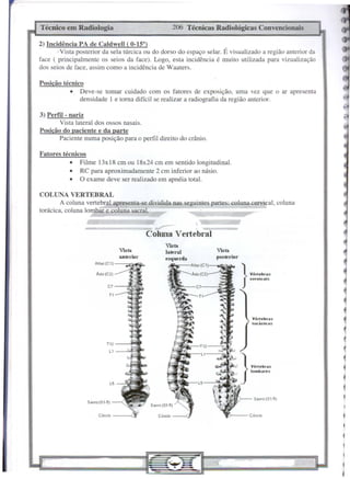 Técnico em Radiologia                                            206 Técnicas Radiológicas         Convencionais

2) Incidência PA de Caldwell ( 0-15°)
        Vista posterior da sela túrcica ou do dorso do espaço selar. É visualizado a região anterior da
face ( principalmente os seios da face). Logo, esta incidência é muito utilizada para vizualização
dos seios de face, assim como a incidência de Waaters.

Posição técnico
           • Deve-se tomar cuidado com os fatores de exposição, uma vez que o ar apresenta
              densidade I e torna difícil se realizar a radiografia da região anterior.

3) Perfil - nariz
        Vista lateral dos ossos nasais.
Posição do paciente e da parte
        Paciente numa posição para o perfil direito do crânio.

Fatores técnicos
           • Filme 13x18 cmou 18x24cmem sentido longitudinal.
           • RC para aproximadamente 2 cm inferior ao násio.
           • O exame deve ser realizado em apnéia total.

COLUNA VERTEBRAL
        A coluna vertebral apresenta-se dividida nas seguintes partes: coluna cervical, coluna
torácica, coluna lombar e coluna sacra!.


                                                  Coluna Vertebral
                                                           V1St!.
                                      V1St!.               bteral             V1St!.
                                      aJlterior            esquerda           posterior
                      Atlas (C1)

                       Áxis (C2)


                                C7

                                 T1




                                                                                               V@rtebr-ils
                                                                                               torácicas




                                TI2
                                 LI



                                                                                              Vo"o."s
                                                                                              lomb~r4!'s
                                                                                          }
                                 L5



                                                                                                Sacfo(S1-S}
                  SaeJo(S1-5)
                                                   Sac,o(Sl·5)

                        Cóccilt                        Cóooi~                                 CÓCCill
 