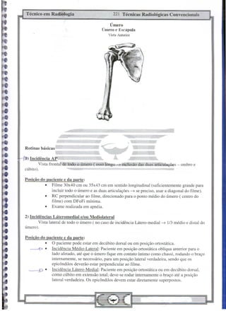 Técnico em Radiologia                                 221 Técnicas Radiológicas Convencionais

                                                   Úmero
                                                Úmero e Escápula
                                                   Vista Anterior




Rotinas básicas
                                                               ~ir@
                                                                    •..           .
                                                                          :;:~»JOI!Ii>'
                                                                        ,,';;;;
                                                                    1E)j5ii&l

 ~Incidência AP
         Vista frontal de todo   O   úmero ( osso longo   -t   inclusão das duas articulações - ombro e
cúbito).

Posição do paciente e da parte:
          • Filme 30x40 cm ou 3Sx43 cm em sentido longitudinal (suficientemente grande para
              incluir todo o úmero e as duas articulações -t se preciso, usar a diagonal do filme).
          • RC perpendicular ao filme, direcionado para o ponto médio do úmero ( centro do
              filme) com DFoFi mínima.
          • Exame realizada em apnéia.

2) Incidências Láteromedial elou Mediolateral
        Vista lateral de todo o úmero ( no caso de incidência Látero-medial           -t   1/3 médio e distai do
úmero).

Posição do paciente e da parte:
          • O paciente pode estar em decúbito dorsal ou em posição ortostática.
  --Co.       Incidência Médio-Lateral: Paciente em posição ortostática oblíqua anterior para o
              lado afetado, até que o úmero fique em contato íntimo como chassi, rodando o braço
              internamente, se necessário, para um posição lateral verdadeira, sendo que os
              epicôndilos deverão estar perpendicular ao filme.
  ~.          Incidência Látero-Medial: Paciente em posição ortostática ou em decúbito dorsal,
              como cúbito em extensão total; deve-se rodar internamente o braço até a posição
              lateral verdadeira. Os epicôndilos devem estar diretamente superpostos.
 