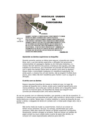 Apoiando os dentes superiores na boquilha

       Quando somente usamos os lábios para segurar a boquilha em nossa
       boca, sem o uso dos dentes superiores, a afinação fica seriamente
       comprometida em passagens rápidas ou de intervalos distantes, e o
       músico não tem domínio dos graves e tampouco dos agudos, pois não
       trabalha os harmônicos, que necessitam da precisão de abertura feita
       com o apoio dos dentes (tanto para os graves como para os agudos).
       Desse modo, a sonoridade é pequena e a resistência superbaixa. Se,
       ainda assim, o músico tira um som bonito, não se engane! O efeito dura
       pouco, pois o lábio não tem resistência para manter o som ou segurar a
       afinação.

       O atrito com os dentes

       Repare naquelas boquilhas de massa ou metal em que, no lugar de
       contato da boquilha com o dente, existe outro material (geralmente uma
       resina protética). Isso evita que o atrito do dente com a boquilha origine
       um furo no local de apoio. As boquilhas de massa que seguem essa
       corrente de embocadura têm uma resina diferente,

de vez em quando com cor diferente também, que garante a vida útil do acessório. O
processo é o mesmo para as boquilhas de metal, caso contrário o atrito entre o metal e o
dente destruiria o dente. Nesse caso, é melhor substituir a resina da boquilha do que
perder o dente; o desgaste do dente em contato com o metal pode chegar até a raiz e
danificá-lo.

       Não tenha medo de mudar ou experimentar. Você só vai crescer se
       tentar novos caminhos. Sei que, no começo, saxofonistas que usam
       somente o lábio têm receio de colocar os dentes superiores na boquilha.
       Geralmente, sentem cócegas ou arrepios. Pode-se colocar um pedaço de
       papel contact ou couro colado sobre a parte de apoio dos dentes, ou
       comprar em casas especializadas adesivos para este fim.
 