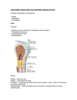 ANATOMO FISIOLOGIA DO SISTEMA ESQUELÉTICO
O Sistema esquelético compreende:

 Ossos
 Cartilagem
 Articulações

Osso

Funções

- Alavanca para os músculos, participando da locomoção;
- Proteção de estruturas;
- Sustentação ao corpo;
- Hematopoiese.




Partes

Diáfise– corpo do osso.
Epífise – extremidade do osso.
Periósteo – membrana de tecido fibroso que reveste o osso ( onde se encontram
os vasos sanguíneos).
Medula óssea – tecido esponjoso que se encontra na porção interna do osso.
Classificação
 