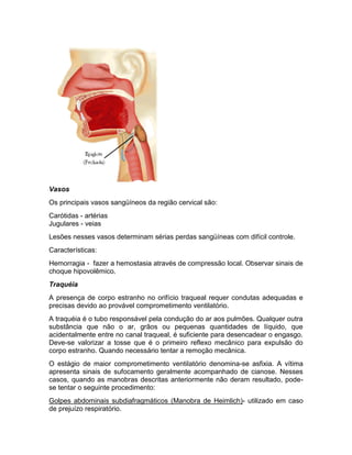Vasos
Os principais vasos sangüíneos da região cervical são:
Carótidas - artérias
Jugulares - veias
Lesões nesses vasos determinam sérias perdas sangüíneas com difícil controle.
Características:
Hemorragia - fazer a hemostasia através de compressão local. Observar sinais de
choque hipovolêmico.
Traquéia
A presença de corpo estranho no orifício traqueal requer condutas adequadas e
precisas devido ao provável comprometimento ventilatório.
A traquéia é o tubo responsável pela condução do ar aos pulmões. Qualquer outra
substância que não o ar, grãos ou pequenas quantidades de líquido, que
acidentalmente entre no canal traqueal, é suficiente para desencadear o engasgo.
Deve-se valorizar a tosse que é o primeiro reflexo mecânico para expulsão do
corpo estranho. Quando necessário tentar a remoção mecânica.
O estágio de maior comprometimento ventilatório denomina-se asfixia. A vítima
apresenta sinais de sufocamento geralmente acompanhado de cianose. Nesses
casos, quando as manobras descritas anteriormente não deram resultado, pode-
se tentar o seguinte procedimento:
Golpes abdominais subdiafragmáticos (Manobra de Heimlich)- utilizado em caso
de prejuízo respiratório.
 
