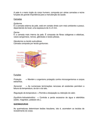 A pele é o maior órgão do corpo humano, composta por várias camadas e reúne
funções de grande importância para a manutenção da saúde.

Camadas

Epiderme
É a camada externa da pele, está em contato direto com meio ambiente e possui,
dependendo do local, uma espessura de 2 a 4 mm.

Derme
É a camada mais interna da pele. É composta de fibras colágenas e elásticas,
vasos sangüíneos, nervos, glândulas e raízes pilosas.

Hipoderme ou tecido subcutâneo
Camada composta por tecido gorduroso.




Funções

Proteção      Mantém o organismo protegido contra microorganismos e corpos
estranhos.

Sensorial      As numerosas terminações nervosas ali existentes permitem a
leitura da temperatura, da dor e do tato.

Regulação da temperatura  Permite a dissipação ou retenção do calor.

Equilíbrio hidroeletrolítico  Controla a perda excessiva de água e eletrólitos
(sódio, magnésio, potássio etc.).

QUEIMADURAS

As queimaduras determinam lesões tissulares, isto é, acometem os tecidos de
revestimento do corpo.
 