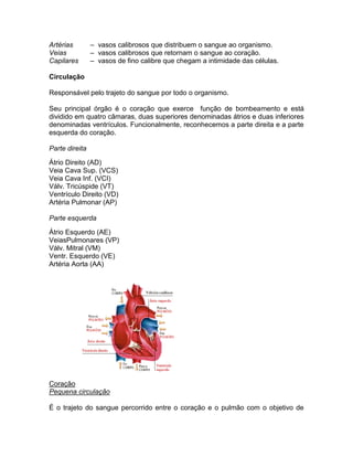 Artérias        – vasos calibrosos que distribuem o sangue ao organismo.
Veias           – vasos calibrosos que retornam o sangue ao coração.
Capilares       – vasos de fino calibre que chegam a intimidade das células.

Circulação

Responsável pelo trajeto do sangue por todo o organismo.

Seu principal órgão é o coração que exerce função de bombeamento e está
dividido em quatro câmaras, duas superiores denominadas átrios e duas inferiores
denominadas ventrículos. Funcionalmente, reconhecemos a parte direita e a parte
esquerda do coração.

Parte direita

Átrio Direito (AD)
Veia Cava Sup. (VCS)
Veia Cava Inf. (VCI)
Válv. Tricúspide (VT)
Ventrículo Direito (VD)
Artéria Pulmonar (AP)

Parte esquerda

Átrio Esquerdo (AE)
VeiasPulmonares (VP)
Válv. Mitral (VM)
Ventr. Esquerdo (VE)
Artéria Aorta (AA)




Coração
Pequena circulação

É o trajeto do sangue percorrido entre o coração e o pulmão com o objetivo de
 