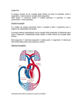 oxigená-lo.

O sangue venoso sai do coração (lado direito) vai para os pulmões, onde é
oxigenado, e retorna para o coração (lado esquerdo).
Átrio direito => ventrículo direito => artéria pulmonar => pulmões => veias
pulmonares => átrio esquerdo.

Grande circulação

É o trajeto do sangue percorrido entre o coração e todo o organismo com o
objetivo de oxigenação dos tecidos.

O sangue arterial (arterializado) sai do coração (lado esquerdo) é distribuído para
todo o organismo, metabolizado pelas células e então retorna ao coração (lado
direito).

Átrio esquerdo => ventrículo esquerdo => artéria aorta => organismo => retorna ao
átrio direito pelas veias cava superior e inferior.

Sistema Circulatório




(Ilustração esquemática da pequena e grande circulação)
 