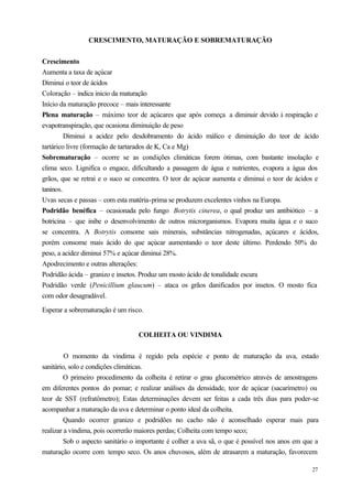 CRESCIMENTO, MATURAÇÃO E SOBREMATURAÇÃO


Crescimento
Aumenta a taxa de açúcar
Diminui o teor de ácidos
Coloração – indica inicio da maturação
Início da maturação precoce – mais interessante
Plena maturação – máximo teor de açúcares que após começa a diminuir devido à respiração e
evapotranspiração, que ocasiona diminuição de peso
         Diminui a acidez pelo desdobramento do ácido málico e diminuição do teor de ácido
tartárico livre (formação de tartarados de K, Ca e Mg)
Sobrematuração – ocorre se as condições climáticas forem ótimas, com bastante insolação e
clima seco. Lignifica o engace, dificultando a passagem de água e nutrientes, evapora a água dos
grãos, que se retrai e o suco se concentra. O teor de açúcar aumenta e diminui o teor de ácidos e
taninos.
Uvas secas e passas – com esta matéria-prima se produzem excelentes vinhos na Europa.
Podridão benéfica – ocasionada pelo fungo Botrytis cinerea, o qual produz um antibiótico – a
botricina – que inibe o desenvolvimento de outros microrganismos. Evapora muita água e o suco
se concentra. A Botrytis consome sais minerais, substâncias nitrogenadas, açúcares e ácidos,
porém consome mais ácido do que açúcar aumentando o teor deste último. Perdendo 50% do
peso, a acidez diminui 57% e açúcar diminui 28%.
Apodrecimento e outras alterações:
Podridão ácida – granizo e insetos. Produz um mosto ácido de tonalidade escura
Podridão verde (Penicillium glaucum) – ataca os grãos danificados por insetos. O mosto fica
com odor desagradável.

Esperar a sobrematuração é um risco.


                                  COLHEITA OU VINDIMA


         O momento da vindima é regido pela espécie e ponto de maturação da uva, estado
sanitário, solo e condições climáticas.
         O primeiro procedimento da colheita é retirar o grau glucométrico através de amostragens
em diferentes pontos do pomar; e realizar análises da densidade, teor de açúcar (sacarímetro) ou
teor de SST (refratômetro); Estas determinações devem ser feitas a cada três dias para poder-se
acompanhar a maturação da uva e determinar o ponto ideal da colheita.
         Quando ocorrer granizo e podridões no cacho não é aconselhado esperar mais para
realizar a vindima, pois ocorrerão maiores perdas; Colheita com tempo seco;
         Sob o aspecto sanitário o importante é colher a uva sã, o que é possível nos anos em que a
maturação ocorre com tempo seco. Os anos chuvosos, além de atrasarem a maturação, favorecem

                                                                                                27
 