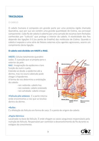 5
TRICOLOGIA
O CABELO
O cabelo humano é composto em grande parte por uma proteína rígida chamada
Queratina, que por sua vez contém uma grande quantidade de Cistina, seu principal
componente. Cada fio de cabelo é coberto por uma camada de escamas bem fechadas
conhecidas por “cutícula” que protege o interior do cabelo. A elasticidade dos fios
depende das ligações S-S (ou ponte de Enxofre) das moléculas de Cistina. Quando o
cabelo é exposto a uma série de fatores externos e/ou agentes agressores, ocorre um
rompimento desta ligação.
O cabelo está dividido em HASTE e RAIZ.
HASTE: Células totalmente queratini-
zadas. É a porção que se projeta para o
exterior da pele.
RAIZ: Invaginação da epiderme e tem
função de nutrir o pelo.
Estende-se desde a epiderme até a
derme, mas no couro cabeludo pode
chegar à hipoderme.
A forma da raiz determina a ondulação
do cabelo:
	 - raiz redonda: cabelo liso
	 - raiz ovalada: cabelo ondulado
	 - raiz achatada: cabelo crespo
•Folículo pilo sebáceo: É a parte interna
onde encontramos a raiz que se localiza
dentro da derme.
•Bulbo:
É a dilatação do folículo em forma de saco. É o ponto de origem do cabelo.
•Papila Dérmica:
Localizada na base do folículo. É onde chegam os vasos sanguíneos responsáveis pela
nutrição do folículo. Responsável por controlar o desenvolvimento do fio durante os
estágios do crescimento.
 
