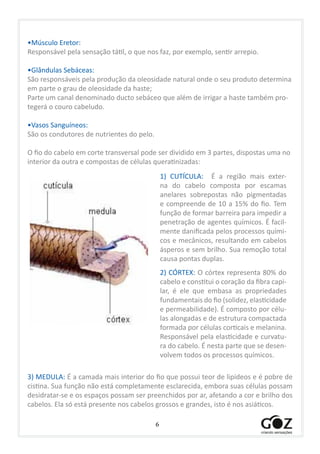 6
•Músculo Eretor:
Responsável pela sensação tátil, o que nos faz, por exemplo, sentir arrepio.
•Glândulas Sebáceas:
São responsáveis pela produção da oleosidade natural onde o seu produto determina
em parte o grau de oleosidade da haste;
Parte um canal denominado ducto sebáceo que além de irrigar a haste também pro-
tegerá o couro cabeludo.
•Vasos Sanguíneos:
São os condutores de nutrientes do pelo.
O fio do cabelo em corte transversal pode ser dividido em 3 partes, dispostas uma no
interior da outra e compostas de células queratinizadas:
	
  
1) CUTÍCULA: É a região mais exter-
na do cabelo composta por escamas
anelares sobrepostas não pigmentadas
e compreende de 10 a 15% do fio. Tem
função de formar barreira para impedir a
penetração de agentes químicos. É facil-
mente danificada pelos processos quími-
cos e mecânicos, resultando em cabelos
ásperos e sem brilho. Sua remoção total
causa pontas duplas.
2) CÓRTEX: O córtex representa 80% do
cabelo e constitui o coração da fibra capi-
lar, é ele que embasa as propriedades
fundamentais do fio (solidez, elasticidade
e permeabilidade). É composto por célu-
las alongadas e de estrutura compactada
formada por células corticais e melanina.
Responsável pela elasticidade e curvatu-
ra do cabelo. É nesta parte que se desen-
volvem todos os processos químicos.
3) MEDULA: É a camada mais interior do fio que possui teor de lipídeos e é pobre de
cistina. Sua função não está completamente esclarecida, embora suas células possam
desidratar-se e os espaços possam ser preenchidos por ar, afetando a cor e brilho dos
cabelos. Ela só está presente nos cabelos grossos e grandes, isto é nos asiáticos.
 