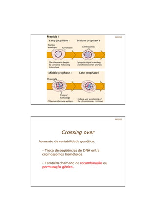 MEIOSE
Crossing over
Aumento da variabilidade genética.
- Troca de seqüências de DNA entre
cromossomos homólogos.
- Também chamado de recombinação ou
permutação gênica.
MEIOSE
 