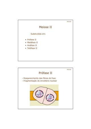 Meiose II
Subdividida em:
• Prófase II
• Metáfase II
• Anáfase II
• Telófase II
MEIOSE
Prófase II
- Reaparecimento das fibras do fuso
- Fragmentação do envoltório nuclear
MEIOSE
 