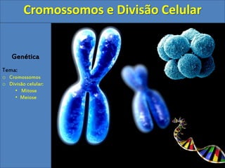 Genética
Tema:
o Cromossomos
o Divisão celular:
• Mitose
• Meiose
Cromossomos e Divisão Celular
 