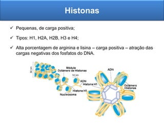Histonas
 Pequenas, de carga positiva;
 Tipos: H1, H2A, H2B, H3 e H4;
 Alta porcentagem de arginina e lisina – carga positiva – atração das
cargas negativas dos fosfatos do DNA.
 