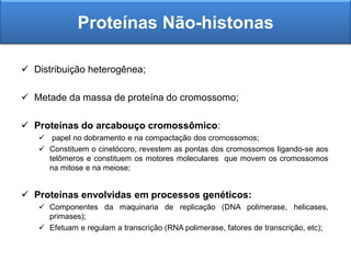 Proteínas Não-histonas
 Distribuição heterogênea;
 Metade da massa de proteína do cromossomo;
 Proteínas do arcabouço cromossômico:
 papel no dobramento e na compactação dos cromossomos;
 Constituem o cinetócoro, revestem as pontas dos cromossomos ligando-se aos
telômeros e constituem os motores moleculares que movem os cromossomos
na mitose e na meiose;
 Proteínas envolvidas em processos genéticos:
 Componentes da maquinaria de replicação (DNA polimerase, helicases,
primases);
 Efetuam e regulam a transcrição (RNA polimerase, fatores de transcrição, etc);
 