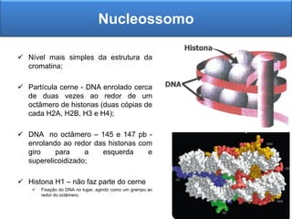  Nível mais simples da estrutura da
cromatina;
 Partícula cerne - DNA enrolado cerca
de duas vezes ao redor de um
octâmero de histonas (duas cópias de
cada H2A, H2B, H3 e H4);
 DNA no octâmero – 145 e 147 pb -
enrolando ao redor das histonas com
giro para a esquerda e
superelicoidizado;
 Histona H1 – não faz parte do cerne
 Fixação do DNA no lugar, agindo como um grampo ao
redor do octâmero;
Nucleossomo
 