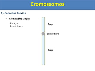 1) Conceitos Prévios
• Cromossomo Simples
Centrômero
Braço
Braço
2 braços
1 centrômero
Cromossomos
 