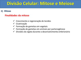 2) Mitose
Finalidades da mitose
 Crescimento e regeneração de tecidos
 Cicatrização
 Formação de gametas em vegetais
 Formação de gametas em animais por partenogênese
 Divisões do zigoto durante o desenvolvimento embrionário
Divisão Celular: Mitose e Meiose
 