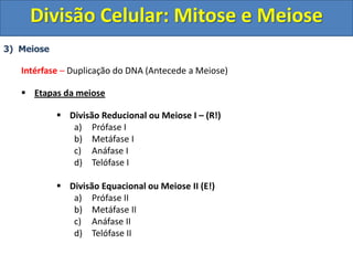 3) Meiose
Intérfase – Duplicação do DNA (Antecede a Meiose)
 Etapas da meiose
 Divisão Reducional ou Meiose I – (R!)
a) Prófase I
b) Metáfase I
c) Anáfase I
d) Telófase I
 Divisão Equacional ou Meiose II (E!)
a) Prófase II
b) Metáfase II
c) Anáfase II
d) Telófase II
Divisão Celular: Mitose e Meiose
 