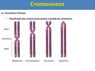 1) Conceitos Prévios
• Classificação dos cromossomos quanto à posição do centrômero
Braço
Braço
Centrômero
Metacêntrico Submetacêntrico Acrocêntrico Telocêntrico
Cromossomos
 