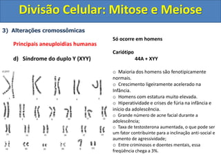 3) Alterações cromossômicas
Principais aneuploidias humanas
d) Síndrome do duplo Y (XYY)
Só ocorre em homens
Cariótipo
44A + XYY
o Maioria dos homens são fenotipicamente
normais.
o Crescimento ligeiramente acelerado na
Infância.
o Homens com estatura muito elevada.
o Hiperatividade e crises de fúria na infância e
início da adolescência.
o Grande número de acne facial durante a
adolescência;
o Taxa de testosterona aumentada, o que pode ser
um fator contribuinte para a inclinação anti-social e
aumento de agressividade;
o Entre criminosos e doentes mentais, essa
freqüência chega a 3%.
Divisão Celular: Mitose e Meiose
 
