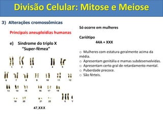3) Alterações cromossômicas
Principais aneuploidias humanas
e) Síndrome do triplo X
“Super-fêmea”
Só ocorre em mulheres
Cariótipo
44A + XXX
o Mulheres com estatura geralmente acima da
média.
o Apresentam genitália e mamas subdesenvolvidas.
o Apresentam certo gral de retardamento mental.
o Puberdade precoce.
o São férteis.
Divisão Celular: Mitose e Meiose
 