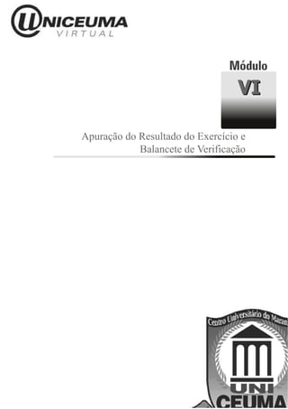 VI

Apuração do Resultado do Exercício e
            Balancete de Verificação
 