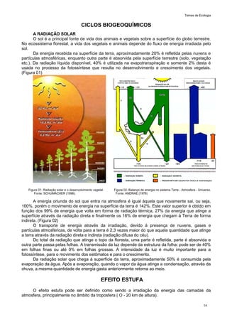 Temas de Ecologia
14
CICLOS BIOGEOQUÍMICOS
A RADIAÇÃO SOLAR
O sol é a principal fonte de vida dos animais e vegetais sobre a superfície do globo terrestre.
No ecossistema florestal, a vida dos vegetais e animais depende do fluxo de energia irradiada pelo
sol.
Da energia recebida na superfície da terra, aproximadamente 20% é refletida pelas nuvens e
partículas atmosféricas, enquanto outra parte é absorvida pela superfície terrestre (solo, vegetação
etc.). Da radiação líquida disponível, 40% é utilizada na evapotranspiração e somente 2% desta é
usada no processo da fotossíntese que resulta no desenvolvimento e crescimento dos vegetais.
(Figura 01)
Figura 01. Radiação solar e o desenvolvimento vegetal. Figura 02. Balanço de energia no sistema Terra - Atmosfera - Universo.
Fonte: SCHUMACHER (1996). Fonte: ANDRAE (1978)
A energia oriunda do sol que entra na atmosfera é igual àquela que novamente sai, ou seja,
100%, porém o movimento de energia na superfície da terra é 142%. Este valor superior é obtido em
função dos 99% de energia que volta em forma de radiação térmica, 27% da energia que atinge a
superfície através da radiação direta e finalmente os 16% de energia que chegam à Terra de forma
indireta. (Figura 02)
O transporte de energia através da irradiação, devido à presença de nuvens, gases e
partículas atmosféricas, de volta para a terra é 2,3 vezes maior do que aquela quantidade que atinge
a terra através da radiação direta e indireta (radiação difusa do céu).
Do total da radiação que atinge o topo da floresta, uma parte é refletida, parte é absorvida e
outra parte passa pelas folhas. A transmissão da luz depende da estrutura da folha: pode ser de 40%
em folhas finas ou até 0% em folhas grossas. A intensidade da luz é muito importante para a
fotossíntese, para o movimento dos estômatos e para o crescimento.
Da radiação solar que chega à superfície da terra, aproximadamente 50% é consumida pela
evaporação da água. Após a evaporação, quando o vapor da água atinge a condensação, através da
chuva, a mesma quantidade de energia gasta anteriormente retorna ao meio.
EFEITO ESTUFA
O efeito estufa pode ser definido como sendo a irradiação da energia das camadas da
atmosfera, principalmente no âmbito da troposfera ( O - 20 km de altura).
 