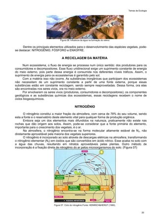 Temas de Ecologia
20
Figura 06. Influência da água na formação do relevo
Dentre os principais elementos utilizados para o desenvolvimento das espécies vegetais, pode-
se destacar: NITROGÊNIO, FÓSFORO e ENXOFRE.
A RECICLAGEM DA MATÉRIA
Num ecossistema, o fluxo de energia se processa num único sentido: dos produtores para os
consumidores e decompositores. Esse fluxo unidirecional exige um suprimento constante de energia
do meio externo, pois parte dessa energia é consumida nos deferentes níveis tráficos. Assim, o
suprimento de energia para os ecossistemas é garantido pelo sol.
Com a matéria isso não ocorre. As substâncias inorgânicas que participam dos ecossistemas
não necessitam de um suprimento constante a partir de uma fonte externa, porque essas
substâncias estão em constante reciclagem, sendo sempre reaproveitadas. Dessa forma, ora elas
são encontradas nos seres vivos, ora no meio externo.
Por envolverem os seres vivos (produtores, consumidores e decompositores), os componentes
geológicos e as substâncias químicas dos ecossistemas, essas reciclagens recebem o nome de
ciclos biogeoquímicos.
NITROGÊNIO
O nitrogênio constitui a maior fração da atmosfera, com cerca de 78% do seu volume, sendo
esta a fonte e o reservatório deste elemento vital para qualquer forma de produção orgânica.
Embora seja um dos elementos mais difundidos na natureza, praticamente não existe nas
rochas que dão origem aos solos. Assim, pode-se considerar que a fonte primária do elemento,
importante para o crescimento dos vegetais, é o ar.
Na atmosfera, o nitrogênio encontra-se na forma molecular altamente estável de N2, não
diretamente aproveitável pela maioria dos vegetais superiores.
O nitrogênio é incorporado ao solo através de descargas elétricas na atmosfera, transformando
o nitrogênio elementar (N2) em óxidos que são convertidos em ácido nítrico. Esse acaba no solo com
a água das chuvas, resultando em nitratos aproveitáveis pelas plantas. Outro método de
incorporação é a fixação direta de nitrogênio do ar pelos microorganismos do solo. (Figura 07)
Figura 07. Ciclo do nitrogênio.Fonte: HEINRICH&HERGT (1990).
 