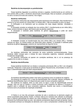 Temas de Ecologia
23
Bactérias da decomposição ou putrefacientes
Essas bactérias degradam as proteínas animais e vegetais, transformando-as em amônia ou
íons amônio (NH3 ou NH4
+
), fenômeno denominado amonificação. Elas se localizam, principalmente,
no solo e na lama do fundo dos oceanos, rios e lagos.
Bactérias nitrificantes
As bactérias nitrificantes são responsáveis pelos fenômenos de nitrificação. Elas transformam a
amônia ou os íons amônio em nitritos (NO2
-
) e nitratos (NO3
-
). São encontradas no solo e na água.
A nitrificação é um fenômeno que se processa em duas etapas distintas: nitrosação e
nitratação.
A nitrosação consiste na oxidação dos íons amônio (NH4
+
), transformando-os em nitrito (NO2).
Estes, embora solúveis na água, são tóxicos para as plantas superiores.
A nitrosação é realizada pelas bactérias do gênero Nitrosomonas e pode ser assim
esquematizada:
NH4
+
+ 2 O2 Nitrosomonas 2 H2O + NO2
-
+ energia
A nitratação consiste na transformação dos íons nitritos (NO2
-
) em nitratos (NO3
-
). Também
solúveis em água, os nitratos podem ser absorvidos pelos vegetais. A nitratação é realizada pelas
bactérias do gênero Nitrobacter, podendo ser representada da seguinte forma:
2 NO2
-
+ O2 Nitrobacter 2 NO3
-
+ energia
As bactérias nitrificantes são exemplos de seres autótrofos quimiossintetizantes. Essas
bactérias obtêm energia para a síntese de seus compostos orgânicos, oxidando substâncias
inorgânicas nitrogenadas.
As bactérias nitrificantes só operam em condições aeróbicas, isto é, só na presença do
oxigênio (02) no solo ou na água.
Bactérias desnitrificantes
Essas bactérias transformam os nitratos e compostos amoniacais (NH3 ou NO4
+
) em nitrogênio
molecular. Pertencem a esse grupo as bactérias do gênero Pseudomonas, encontradas no solo e na
água. A desnitrificação pode ser assim esquematizada:
Glicose + (NO3
-
) Pseudomonas CO2 + H2O + N2 + energia
As bactérias desnitrificantes podem viver tanto na presença como na ausência do oxigênio.
Na presença do oxigênio (02), a taxa de desnitrificação não é elevada. Nessas condições, as
bactérias desnitrificantes usam o 02 disponível para oxidar os seus compostos orgânicos.
Na ausência do oxigênio, tanto no solo como na água, a taxa de desnitrificação torna-se
elevada, caso em que os nitratos e nitritos funcionam como aceptores de elétrons e fornecem o
oxigênio para a oxidação de seus compostos orgânicos. Quando isso ocorre, a desnitrificação
funciona como um processo de respiração anaeróbica.
FÓSFORO
O fósforo é um dos três principais nutrientes do solo e constitui-se no elemento exigido em
menor quantidade pelas plantas. Porém, no Brasil, trata-se do nutriente mais utilizado na adubação,
face à carência generalizada de fósforo nos solos brasileiros e, também, porque grande parte do
elemento fica fortemente fixado ao solo, não estando prontamente disponível para as plantas. Assim,
é importante conhecer as interações do elemento com o solo e compreender a dinâmica das formas
 