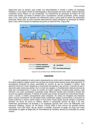 Temas de Ecologia
24
disponíveis para as plantas, para avaliar sua disponibilidade e orientar a prática da adubação
fosfatada. A sua origem resulta da desintegração e decomposição da rocha matriz, embora algumas
contenham pouco fósforo na sua constituição. Os mecanismos de devolução do fósforo ao ciclo
ocorre pela erosão, que libera os fosfatos para o ecossistema. Grande quantidade, porém, escapa
para o mar, onde parte se deposita nos sedimentos rasos e outra parte se perde nos sedimentos
profundos. Neste caso, as aves marinhas desempenham papel importante na devolução do fósforo
para o ciclo, sendo exemplo os depósitos de guano na costa do Peru. (Figura 09)
Figura 09. Ciclo do Fósforo Fonte: HEINRICH& HERGT(1990).
ENXOFRE
O enxofre existente no solo provém originalmente da rocha matriz e também da decomposição
de matéria orgânica vegetal, porém nas carcaças de animais existe apenas traços deste elemento. O
ecossistema necessita de menor quantidade de enxofre do que de nitrogênio e fósforo. Este
elemento limita com menor freqüência o crescimento das plantas e dos animais. O enxofre do solo é
absorvido pelas raízes das plantas. Com a morte dos vegetais, é imediatamente restituído através da
ação dos microorganismos. A parte do enxofre de origem orgânica, fornecida pelas plantas, pode
introduzir nos ciclos quantidades importantes deste elemento trazidas pela atmosfera através das
chuvas nas regiões industriais. O dióxido de enxofre que provém da queima de combustíveis fósseis,
como o carvão, é emitido principalmente pelas indústrias. Os óxidos de nitrogênio são liberados
pelos veículos automotores. Na atmosfera essas substâncias reagem quimicamente e produzem os
ácidos sulfúricos e nítricos, dando origem à chuva ácida. Esses ácidos quando atingem a superfície
terrestre, em forma de chuva ou neblina, alteram a composição química da água e do solo,
interferindo grandemente nas florestas e na vegetação agrícola, bem como nas edificações com
estruturas metálicas. (Figura 10). No Brasil, a chuva ácida é mais comum nos grandes centros
industriais, como São Paulo, Rio de Janeiro e Cubatão, enquanto na região sul surge com maior
intensidade na região de Bagé (RS) na Termoelétrica de Candiota, através da combustão do carvão
mineral.
 
