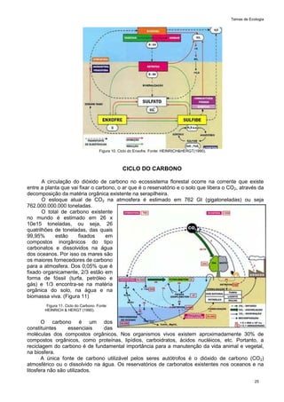 Temas de Ecologia
25
Figura 10. Ciclo do Enxofre. Fonte: HEINRICH&HERGT(1990).
CICLO DO CARBONO
A circulação do dióxido de carbono no ecossistema florestal ocorre na corrente que existe
entre a planta que vai fixar o carbono, o ar que é o reservatório e o solo que libera o CO2, através da
decomposição da matéria orgânica existente na serapilheira.
O estoque atual de CO2 na atmosfera é estimado em 762 Gt (gigatoneladas) ou seja
762.000.000.000 toneladas.
O total de carbono existente
no mundo é estimado em 26 x
10e15 toneladas, ou seja, 26
quatrilhões de toneladas, das quais
99,95% estão fixados em
compostos inorgânicos do tipo
carbonatos e dissolvidos na água
dos oceanos. Por isso os mares são
os maiores fornecedores de carbono
para a atmosfera. Dos 0,05% que é
fixado organicamente, 2/3 estão em
forma de fóssil (turfa, petróleo e
gás) e 1/3 encontra-se na matéria
orgânica do solo, na água e na
biomassa viva. (Figura 11)
Figura 11. Ciclo do Carbono. Fonte:
HEINRICH & HERGT (1990).
O carbono é um dos
constituintes essenciais das
moléculas dos compostos orgânicos. Nos organismos vivos existem aproximadamente 30% de
compostos orgânicos, como proteínas, lipídios, carboidratos, ácidos nucléicos, etc. Portanto, a
reciclagem do carbono é de fundamental importância para a manutenção da vida animal e vegetal,
na biosfera.
A única fonte de carbono utilizável pelos seres autótrofos é o dióxido de carbono (CO2)
atmosférico ou o dissolvido na água. Os reservatórios de carbonatos existentes nos oceanos e na
litosfera não são utilizados.
 