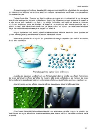 Temas de Ecologia
32
O superior poder solvente da água também traz como conseqüência a facilidade de ser poluída
por desperdícios solúveis, tornando-se assim um meio de transporte de bactérias e vírus causadores
de graves doenças.
Tensão Superficial - Quando um líquido está em repouso e em contato com o ar, as forças de
atração que se exercem entre as moléculas do líquido são diferentes para as que estão à superfície
e para as que estão no interior do líquido. No interior do líquido, cada molécula liga-se às restantes
por forças iguais em todas as direções. À superfície, as moléculas são apenas puxadas para o
interior líquido, pois não existem moléculas na parte exterior do líquido para exercerem qualquer
força, formando-se assim uma espécie de película elástica.
A água líquida tem uma tensão superficial extremamente elevada, explicada pelas ligações por
pontes de hidrogênio que mantêm as moléculas fortemente unidas.
A tensão superficial de um líquido é a quantidade de energia requerida para reduzir ao mínimo
a sua área superficial.
A tensão superficial explica vários fenômenos:
As gotas de água que se observam nas folhas ilustram bem a tensão superficial. As menores
de todas constituem esferas perfeitas. As maiores são ovais, achatadas e as maiores de todas
demasiadamente pesadas para serem sustentadas pela tensão superficial e, por isso, espalham-se.
Alguns insetos como o alfaiate passeia sobre a água devido à sua tensão superficial
O fenômeno da capilaridade está relacionado com a tensão superficial: quando se introduz um
tubo capilar em água, esta sobe espontaneamente pela parede do tubo, formando um filme fino e
aderente.
 