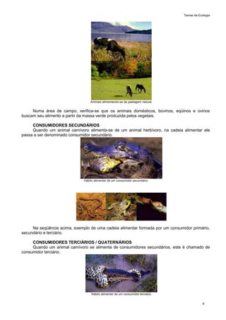 Temas de Ecologia
6
Animais alimentando-se de pastagem natural.
Numa área de campo, verifica-se que os animais domésticos, bovinos, eqüinos e ovinos
buscam seu alimento a partir da massa verde produzida pelos vegetais.
CONSUMIDORES SECUNDÁRIOS
Quando um animal carnívoro alimenta-se de um animal herbívoro, na cadeia alimentar ele
passa a ser denominado consumidor secundário.
Hábito alimentar de um consumidor secundário.
Na seqüência acima, exemplo de uma cadeia alimentar formada por um consumidor primário,
secundário e terciário.
CONSUMIDORES TERCIÁRIOS / QUATERNÁRIOS
Quando um animal carnívoro se alimenta de consumidores secundários, este é chamado de
consumidor terciário.
Hábito alimentar de um consumidor terciário.
 