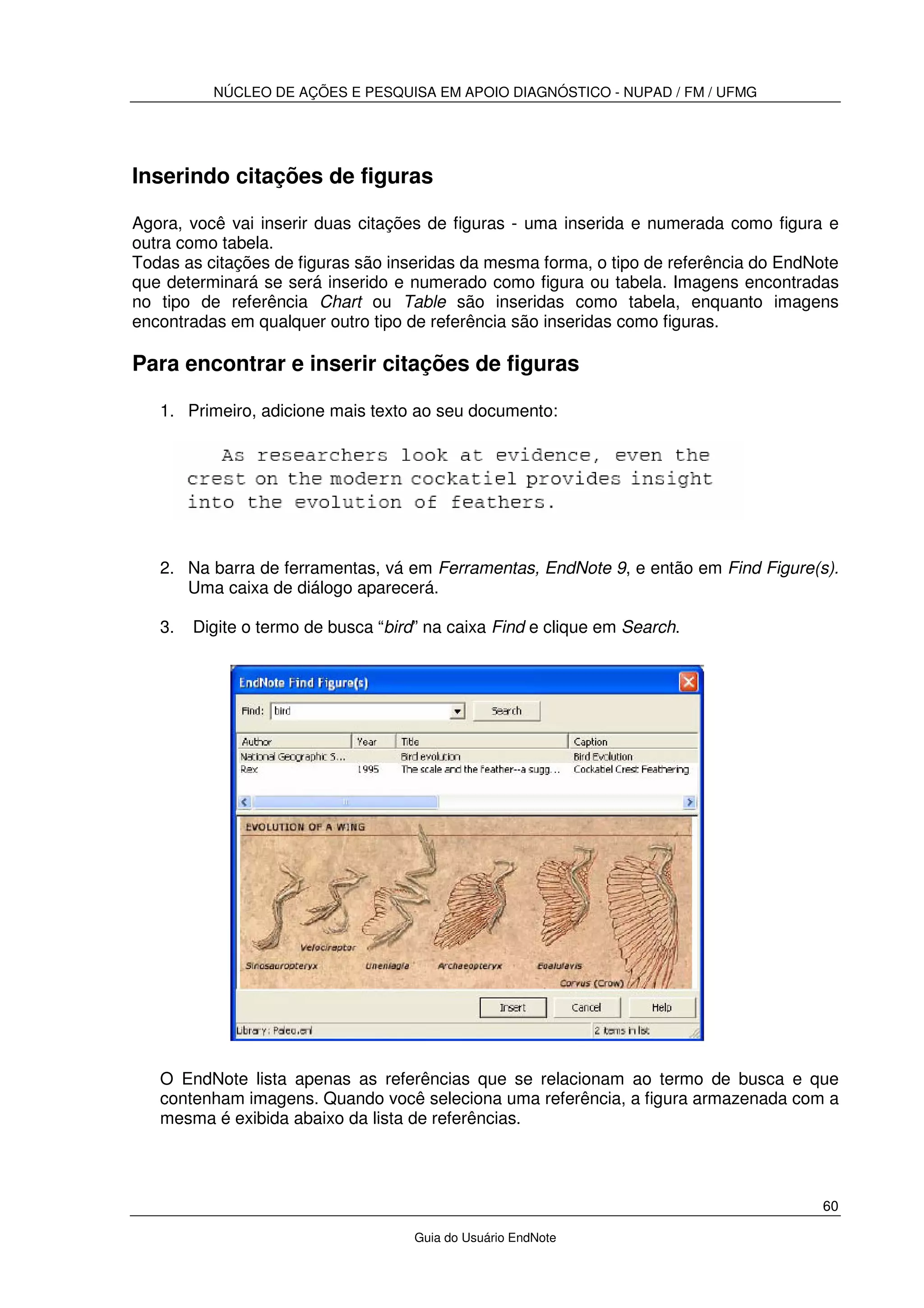 NÚCLEO DE AÇÕES E PESQUISA EM APOIO DIAGNÓSTICO - NUPAD / FM / UFMG
60
Guia do Usuário EndNote
Inserindo citações de figuras
Agora, você vai inserir duas citações de figuras - uma inserida e numerada como figura e
outra como tabela.
Todas as citações de figuras são inseridas da mesma forma, o tipo de referência do EndNote
que determinará se será inserido e numerado como figura ou tabela. Imagens encontradas
no tipo de referência Chart ou Table são inseridas como tabela, enquanto imagens
encontradas em qualquer outro tipo de referência são inseridas como figuras.
Para encontrar e inserir citações de figuras
1. Primeiro, adicione mais texto ao seu documento:
2. Na barra de ferramentas, vá em Ferramentas, EndNote 9, e então em Find Figure(s).
Uma caixa de diálogo aparecerá.
3. Digite o termo de busca “bird” na caixa Find e clique em Search.
O EndNote lista apenas as referências que se relacionam ao termo de busca e que
contenham imagens. Quando você seleciona uma referência, a figura armazenada com a
mesma é exibida abaixo da lista de referências.
 